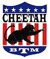 Cheetah race car