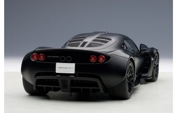 Bild 10 - Hennessey Venom GT Spyder 2010