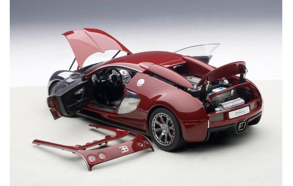 Bild 14 - Bugatti Veyron EB 16.4 Le Achille Varzi