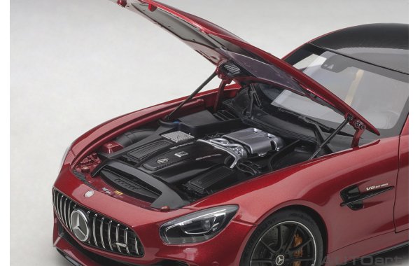 Bild 5 - Mercedes AMG GT R 2017 Res metal.