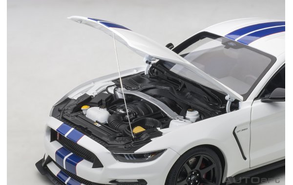 Bild 3 - Ford Mustang Shelby GT350R