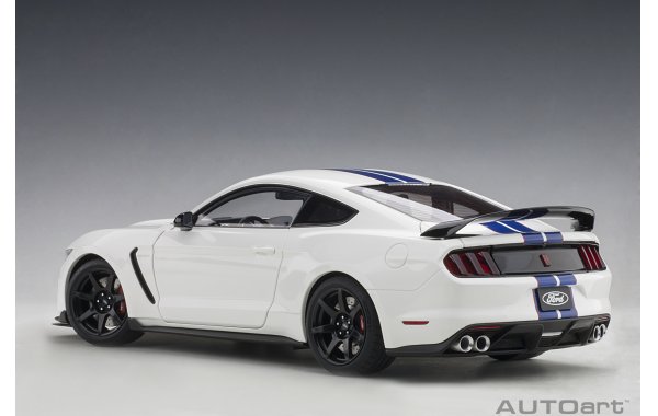 Bild 11 - Ford Mustang Shelby GT350R