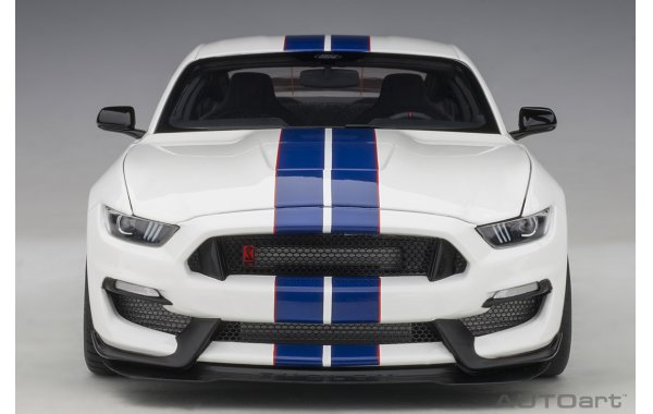 Bild 14 - Ford Mustang Shelby GT350R