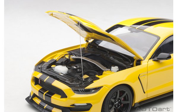 Bild 3 - Ford Mustang Shelby GT350R