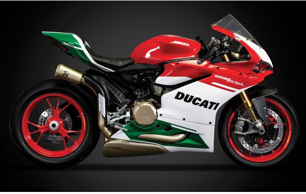 Bild 3 - Ducati 1299 Panigale R Final Edition 1:4