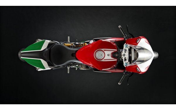 Bild 4 - Ducati 1299 Panigale R Final Edition 1:4