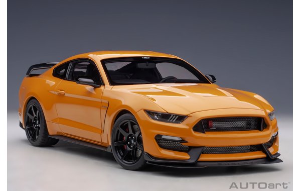 Bild 8 - Ford Mustang Shelby GT350R 2017