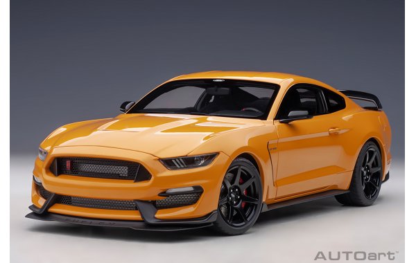 Bild 9 - Ford Mustang Shelby GT350R 2017