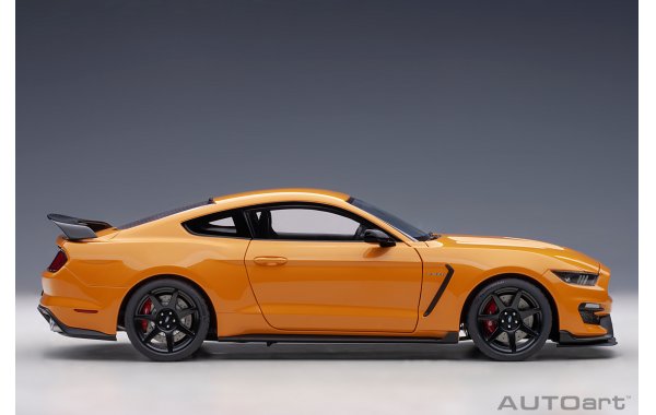 Bild 11 - Ford Mustang Shelby GT350R 2017