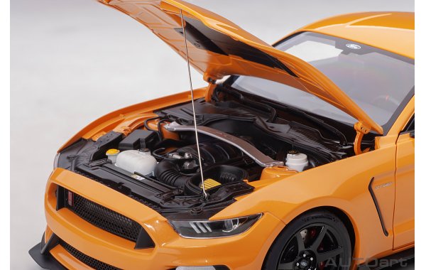 Bild 13 - Ford Mustang Shelby GT350R 2017