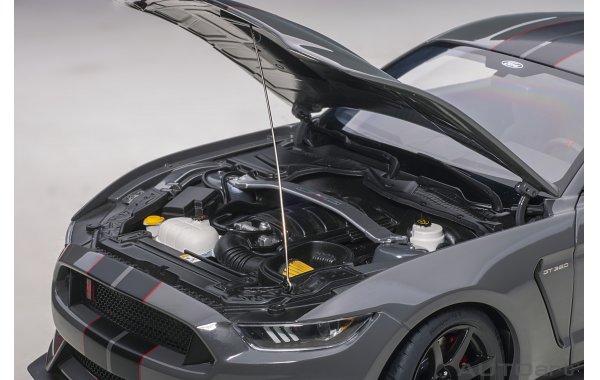Bild 3 - Ford Mustang Shelby GT-350R 2017