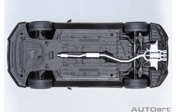 Bild 18 - Honda Civic Type R (FK8) polished metal metallic