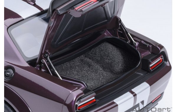 Bild 5 - Dodge Challenger SRT Jailbreak 2022 Shaker 2018