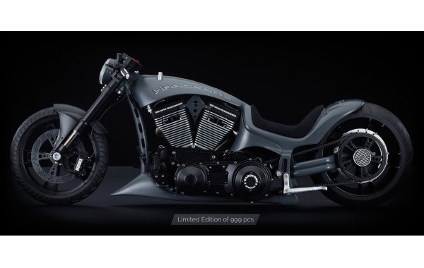 Bild 1 - KTS Rampage 1/6 Motorradmodell