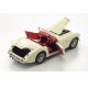 Austin Healey 3000