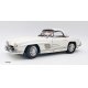 Mercedes Benz 300SL Hardtop W198