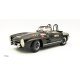 Mercedes Benz 300SL W198 Rallye Version