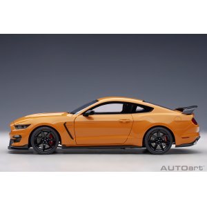 Ford Mustang Shelby GT350R 2017